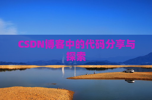 CSDN博客中的代码分享与探索